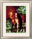 Tail End Framed Giclee Print by Susan Sponenberg