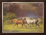 Arabians After a Storm Prints by Jenness Cortez