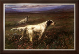 Setters on the Moors Posters by Maud Earl