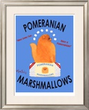 Pomeranian Marshmallows Limited Edition Framed Print by Ken Bailey
