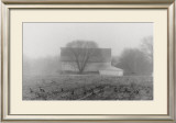 Barns and Geese Prints by Tarver 
