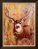 Buck in Forest Poster by Michelle Mara