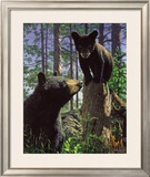 Stump Jumper Poster by Bruce Miller