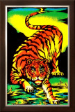 Tiger Posters