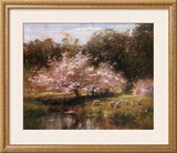 Sheep Grazing Under Apple Blossoms Posters por John Appleton Brown Sheep Grazing Under Apple Blossoms Posters por John Appleton Brown