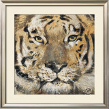Tiger Print by Volynets 