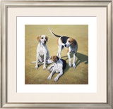 Cotswold Foxhounds Limited Edition Framed Print by Gary Stinton
