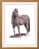 Calypso Pony Framed Giclee Print by Lorrie Beck