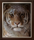 Tiger Portrait Prints by Robert Bateman