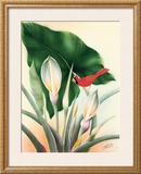 Cardinal Framed Giclee Print by Frank Oda
