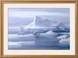 Play Time Polar Bear Posters by David Jean