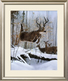 Leaping Deer Posters by Robert Travers