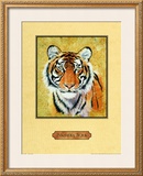 Tiger Posters by Nancy Azneer