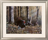 Wild Turkeys Poster by Wilhelm J. Goebel