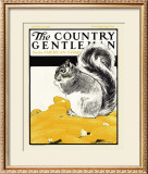 Squirrel with Corn, c.1922 Framed Giclee Print by Charles Livingston Bull