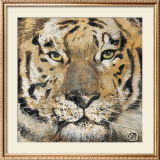Tiger Pôsters por Volynets