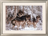 Crystal Forest Prints by Larry Fanning