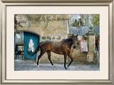 Attraction Limited Edition Framed Print by Jay Boyd Kirkman