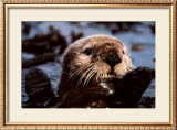 Remember Valdez Posters by Bob Talbot