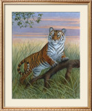 Tiger Posters