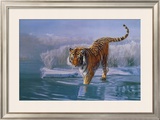 Siberian Tiger Posters by Leonard Pearman