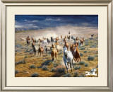 Rumbling Thunder Limited Edition Framed Print by Tim Cox