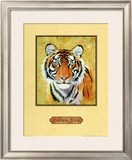 Tiger Prints by Nancy Azneer