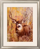 Buck in Forest Prints by Michelle Mara