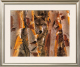 The Guardian Prints by Collin Bogle