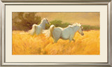 Meadow Pôsters por Lani Vlaanderen