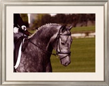 Competition Time Framed Giclee Print by Sara Stafford