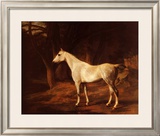 Forest Dapple Prints by Jacques-Laurent Agasse