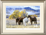 October Mist Limited Edition Framed Print by Tim Cox