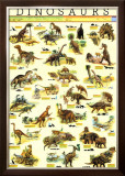Dinosaurs Photo