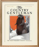 Beaver in Winter, c.1916 Framed Giclee Print by Charles Livingston Bull