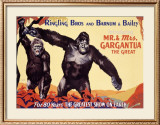Ringling Brothers: Mr. and Mrs. Gargantua the Great Framed Giclee Print
