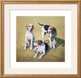 Cotswold Foxhounds Limited Edition Framed Print by Gary Stinton