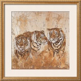 Les Tigres I Posters by Carole Ivoy