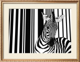 Zebra I Posters by Tim Flach