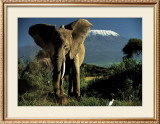 Kenyan Elephant Art by Jean-Michel Labat