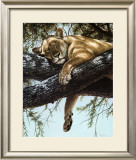 Lake Manyara Lioness Posters by Guy Coheleach