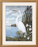 Great White Egret Posters by James Harris