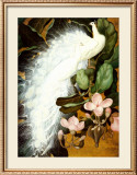 White Peacocks Arte por Jessie Arms Botke