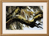 Leopard Sentry Prints by Spencer Hodge