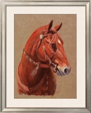Greencoat Framed Giclee Print by Lorrie Beck