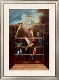 Aviary Prints by David Rollins
