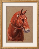 Greencoat Framed Giclee Print by Lorrie Beck