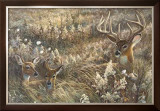 Peaceful Place Posters by Duane Geisness