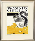 Squirrel with Corn, c.1922 Framed Giclee Print by Charles Livingston Bull