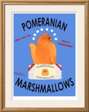 Pomeranian Marshmallows Limited Edition Framed Print by Ken Bailey